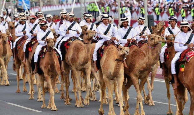 Qatari Soldiers on Camels, Doha