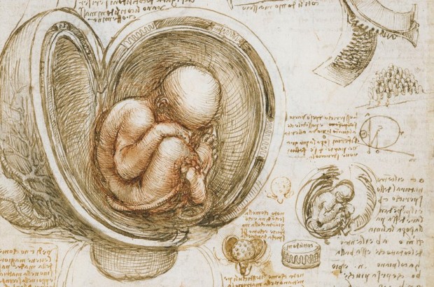 Leonardo: The foetus in the womb