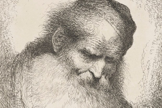 Castiglione: Head of a Bearded Man