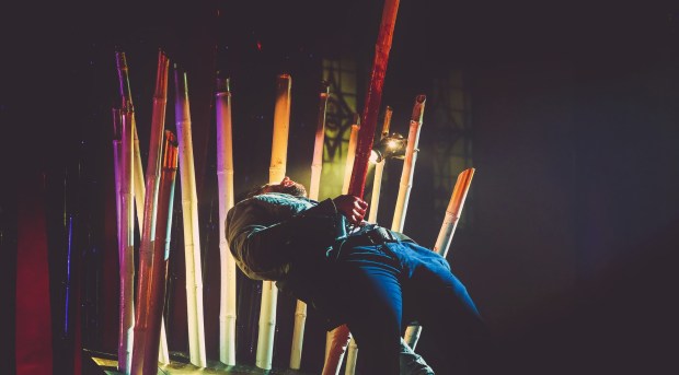 Richard III: William Shakespeare