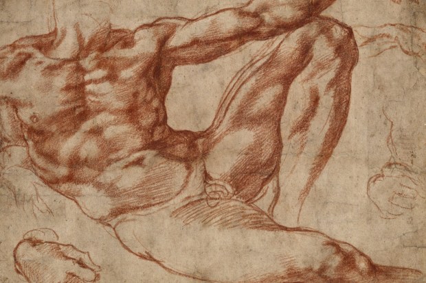 Defining Beauty: Michelangelo’s Adam
