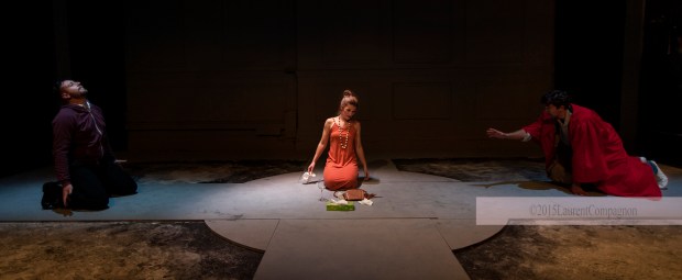 151105 HGO's Don Giovanni