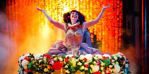 Titania (Meow Meow) on her flowery bed