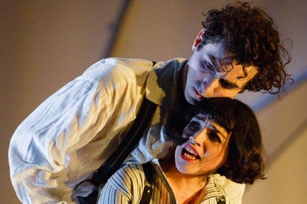 The Flying Lovers of Vitebsk