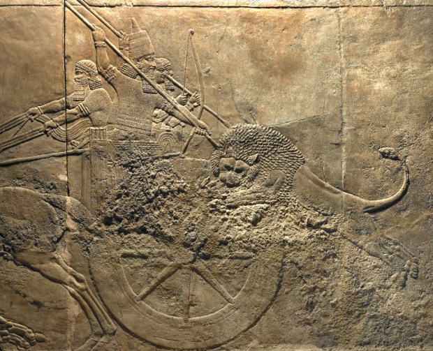 The Lion Hunt of Ashurbanipal