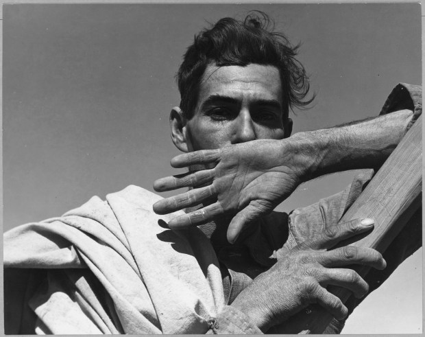 Lange: Migratory cotton worker